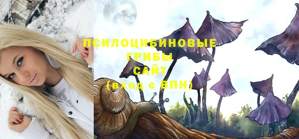 синтетический гашиш Коряжма